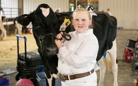 Neely Savage and her dairy cow Clover continue the 50-year tradition of showing livestock at the Chattahoochee Mountain Fair. The fair began with young people like Savage showing their livestock for the first time at the show barn at the inaugural fair in 1975. (Zach Taylor/Staff)