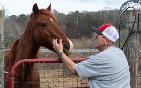 Seth Herrin pets one of the family’s horses in the small pasture next to their home. The Herrins worry that with incoming growth, their farm animals could see the negative impacts, as well. (Hannah Caudell/Staff)