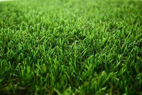 The Habersham County Parks and Recreation Department is gearing up to spend $114,542 on grounds care, which encompasses $104,198 for the turf management plan. (Adobe Stock)