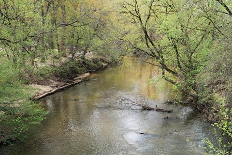 The Soque River’s levels are lower than usual as Habersham County — and the state as a whole — suffers severe drought conditions. ZACH TAYLOR/Staff