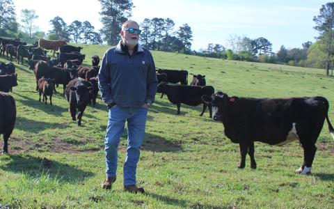 Local cattleman Gilbert Barrett of Barrett Farms stands amongst one of his herds of cattle in a pasture that isn’t yielding as much forage due to recent drought conditions.  (Hannah Caudell/Staff)