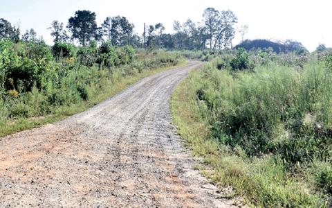 Hubert Harris Road was clear cut at some point during the sale process with the original owners and Cook Construction. Cook Construction hopes to build commercial outparcels there. (Hannah Caudell/Staff)