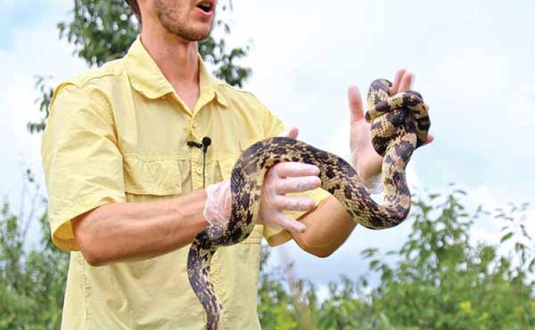 snake