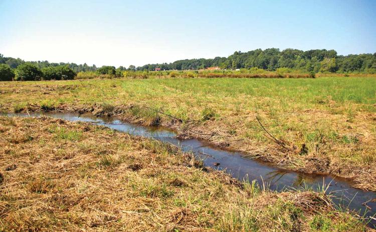 This property in Clarkesville undergoing a massive wetland restoration project. The project is taking place between Wall Bridge Road and Wall Bridge Loop which began the week of Aug. 26. (Photo/ERIC PEREIRA)