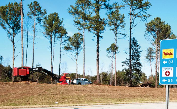 Drivers have noticed workers cutting down trees along Route 365, which the Department of Transportation said is for safety purposes.