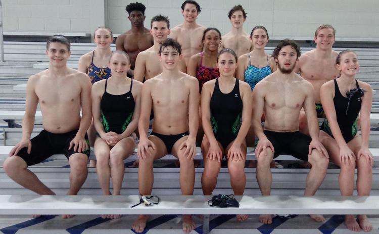 TFS Swim Team