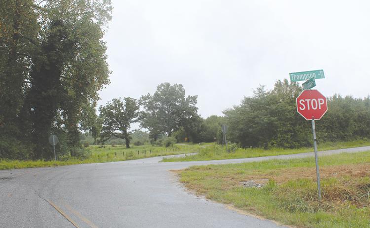 Residents of this quiet area of Baldwin are worried about a large development changing the fabric of their community.