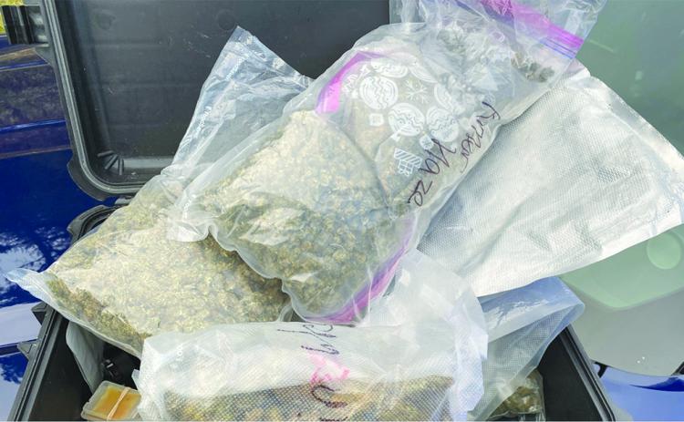 drug bust
