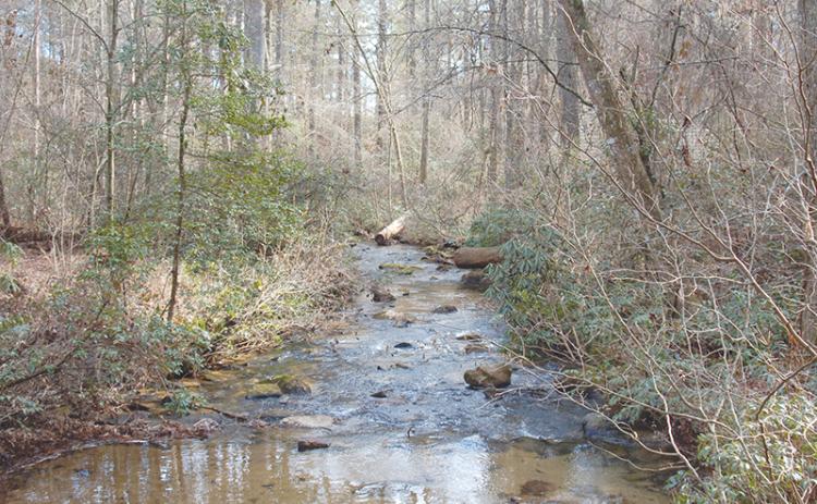 Panther Creek’s beautiful trails and scenic hiking areas are still getting visitors even though they are technically closed.