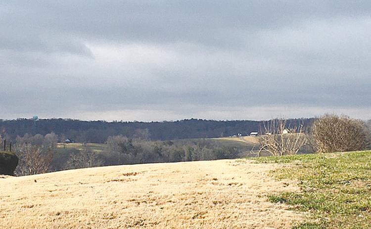 This view is from the Annandale housing development back toward where the proposed cell phone tower was slated to be placed.