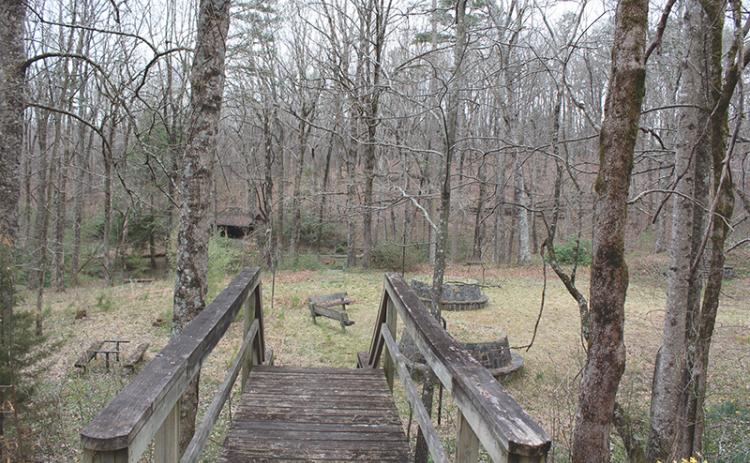 Fern Springs was closed by the U.S. Forest Service in 2005.