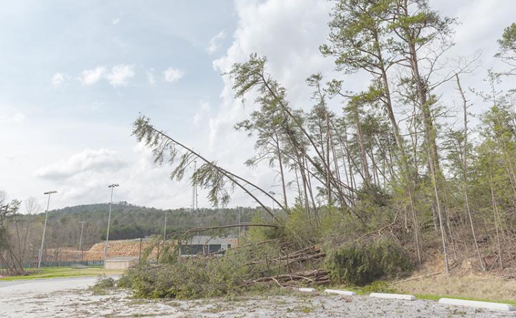 Trees were downed among other damage on Tallulah Falls’ campus early Friday morning when a microburst hit the area during a heavy thunderstorm. E. LANE GRESHAM/Special
