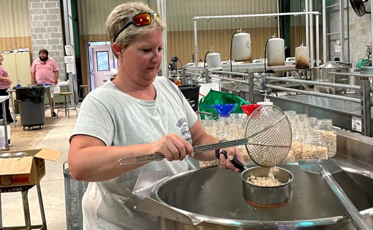 Christy Petitt works on canning Great Northern beans at the Habersham Canning Plant. BRIAN WELLMEIER/Staff