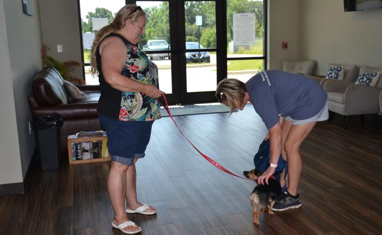 Brenda Reed and Leah MacNellis give Theo the attention he craves at the Habersham County Airport. They get as much love from him as he from them, though. BRIAN WELLMEIER/Staff