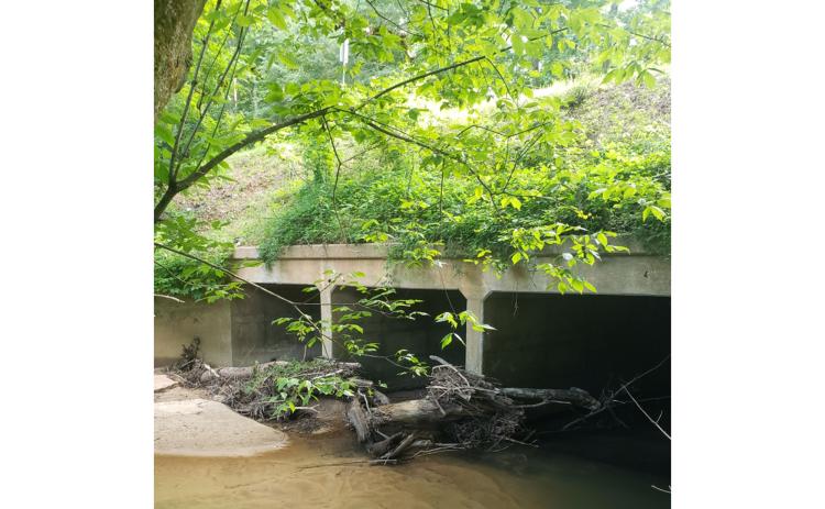 Georgia’s Department of Transportation has been advised of trees down near Duncan Bridge Road. SUBMITTED