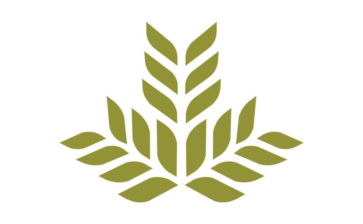 Northeast Georgia Health System