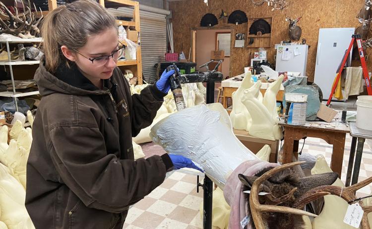 Cassie Carter applies 386 epoxy glue to the scratched form in order for the hide to stay secured to the form during the mounting process. CASSIE CARTER/Submitted