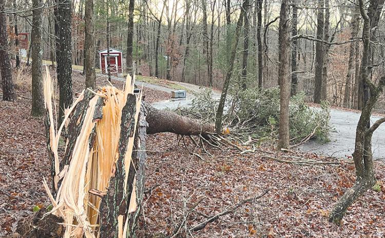 A split tree on Chestnut Ridge Drive in Clarkesville was one of many that came down early Monday morning in a windstorm that followed a week’s worth of rain and a 30-degree drop in temperature.