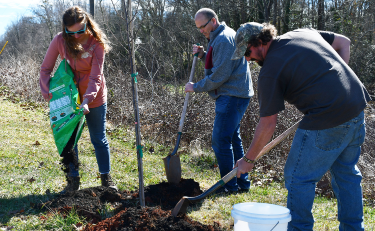 Sarah Samsel, Keith Dickerson and Michael Yearwood plant a kwanzan tree in honor of late Councilman Steven Ward. BRIAN WELLMEIER/Staff