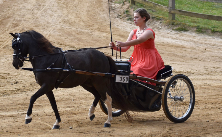 Brooke Hayes got dressed up nice to compete in a driving class with her pony, Willie. SASSY HAYES/Submitted