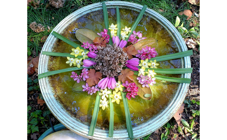 “Mandala” is an ancient sanskrit word meaning “circle” and is a symbol used by many cultures to represent the interconnected aspects of the universe.