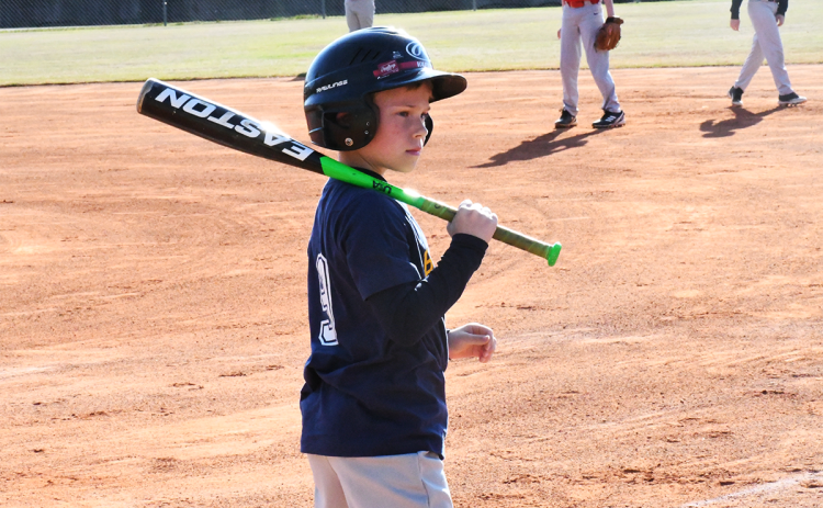 Elliot Rudeseal gets ready for his at-bat during a Habersham youth baseball game last season. Habersham County is taking over the operation of the league this year. FILE