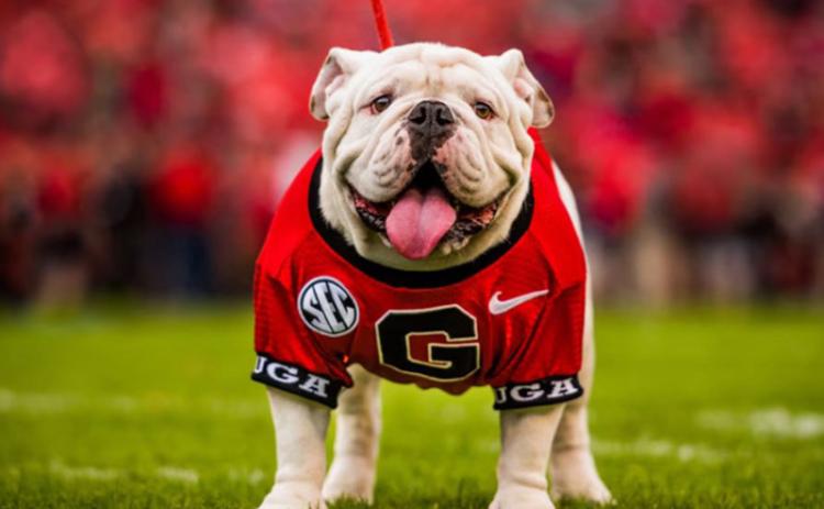 Photo of UGA X. UNIVERSITY OF GEORGIA ATHLETICS/SUBMITTED