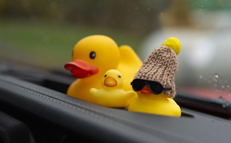 Three rubber ducks of various sizes and styles sit on the dash of Emily Gay’s Jeep. ZACH TAYLOR/Special