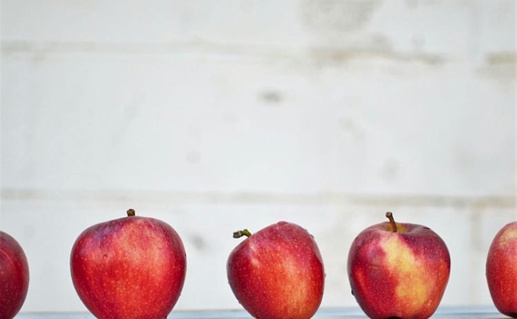 Photo by Isabella Fischer on Unsplash