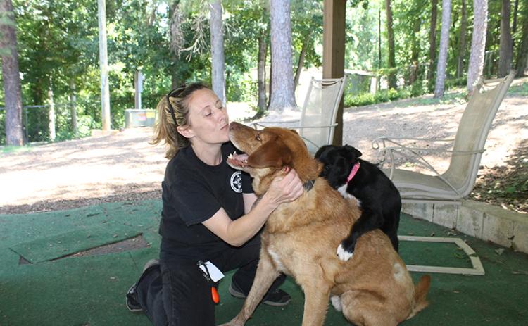 Habersham County Animal Control Director Madi Nix plays with dogs Harvard and Myles. BRIAN WELLMEIER/Special