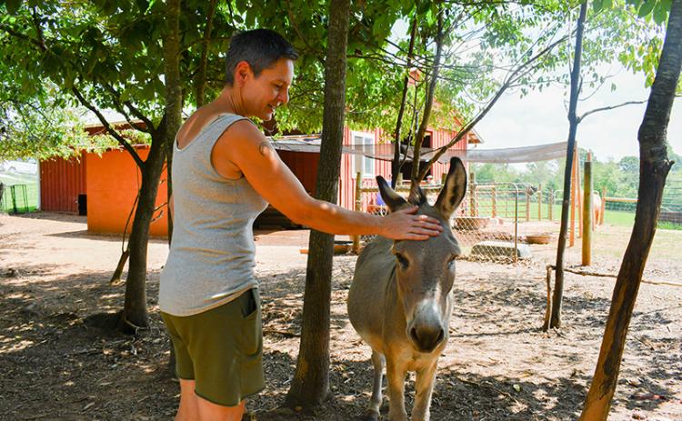 Jessie Romer gives Hank the donkey a pat on the head before giving him a few fruits to snack on. JULIANNE AKERS/Staff