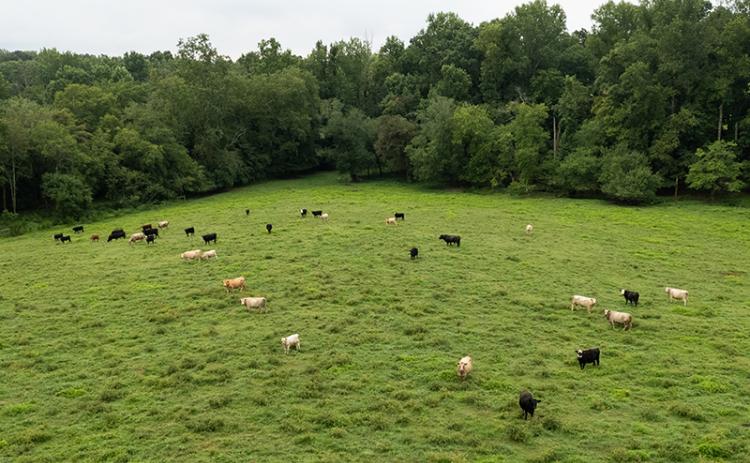 Farmland that lies along New Liberty Road in Clarkesville. ZACH TAYLOR/Staff