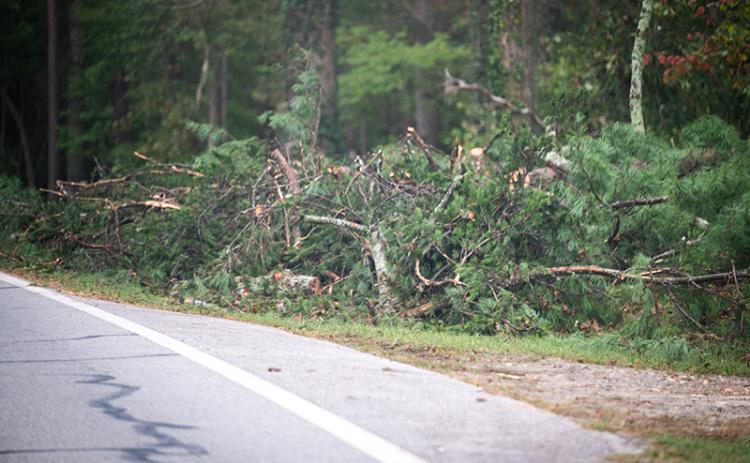 Debris still hangs into some roadways. Trees were down into HWY 365 Friday morning around 3 am. ZACH TAYLOR /Staff