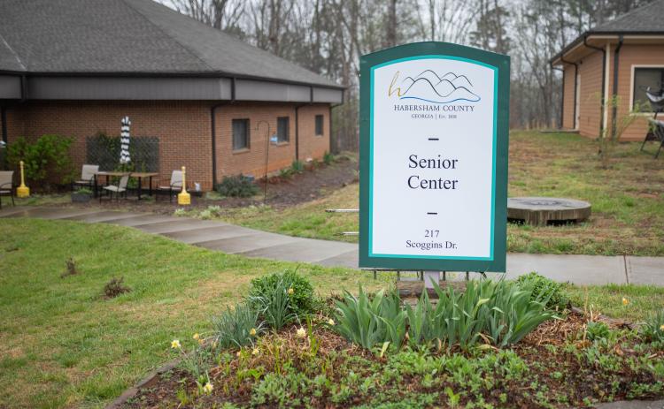The Senior Center could see some budget cuts in FY26, though the structure needs replaceable ceiling tiles and funding for Meals on Wheels. ZACH TAYLOR/Staff