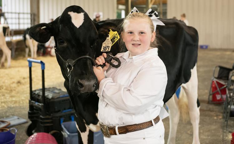 Neely Savage and her dairy cow Clover continue the 50-year tradition of showing livestock at the Chattahoochee Mountain Fair. The fair began with young people like Savage showing their livestock for the first time at the show barn at the inaugural fair in 1975. (Zach Taylor/Staff)