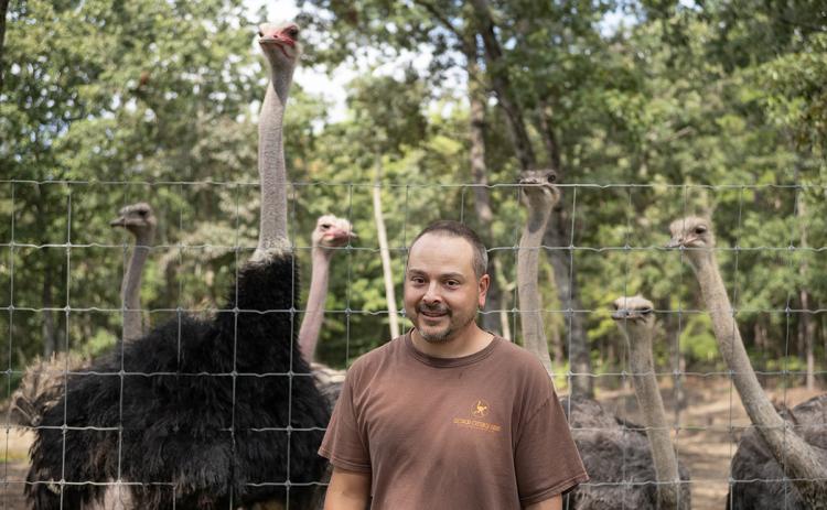 Georgia Ostrich Farm owner Stefan Kuehnert stands in front of his breeding pair pen at the Turnerville location. (Zach Taylor/Staff)