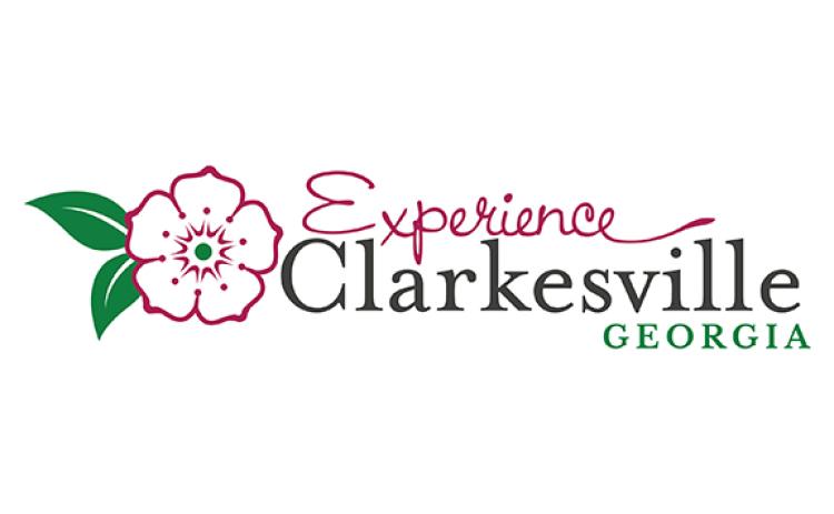 The city plans to hold additional public hearings for the budget and millage rate at 12:30 p.m. Sept. 29 and 6 p.m. Oct. 6.