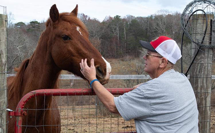 Seth Herrin pets one of the family’s horses in the small pasture next to their home. The Herrins worry that with incoming growth, their farm animals could see the negative impacts, as well. (Hannah Caudell/Staff)