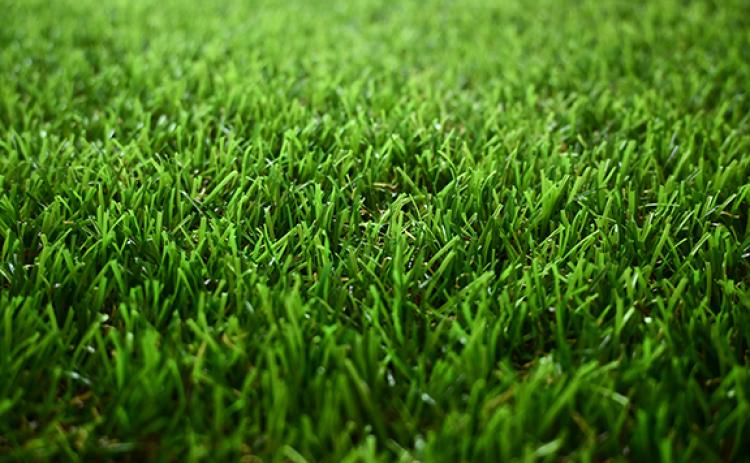 The Habersham County Parks and Recreation Department is gearing up to spend $114,542 on grounds care, which encompasses $104,198 for the turf management plan. (Adobe Stock)
