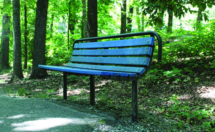 An empty park bench in Cornelia City Park sits unoccupied. It’s similar to the six benches commissioners approved Tuesday night for three city park playgrounds: Jim Smith Park, Cornelia City Park and Oak Street Park. (By Hannah Caudell)