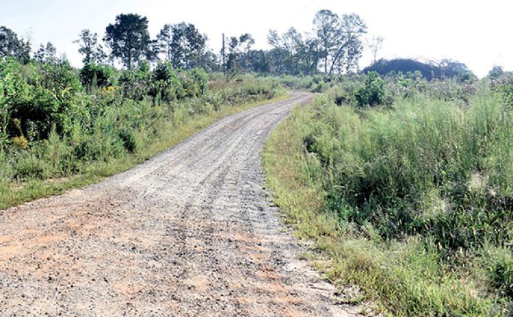 Hubert Harris Road was clear cut at some point during the sale process with the original owners and Cook Construction. Cook Construction hopes to build commercial outparcels there. (Hannah Caudell/Staff)