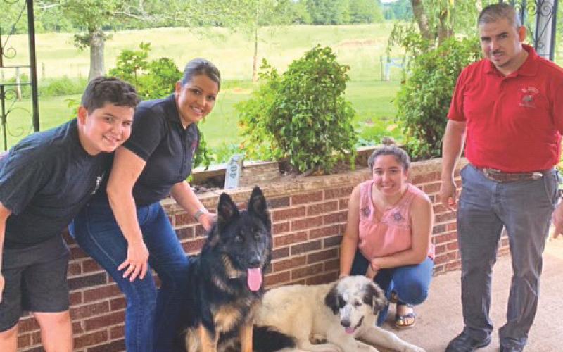 Shown, from left, is Alejandro Jose Romo; Leticia Romo; the family's 1-year-old German Shepherd, Jack; 5-month-old Grand Pyrenees, Pirata; Stephany Romo; and Alejandro Romo at their house in Mt. Airy, where Jack got loose and was taken to Orlando, Florida, then West Virginia.
