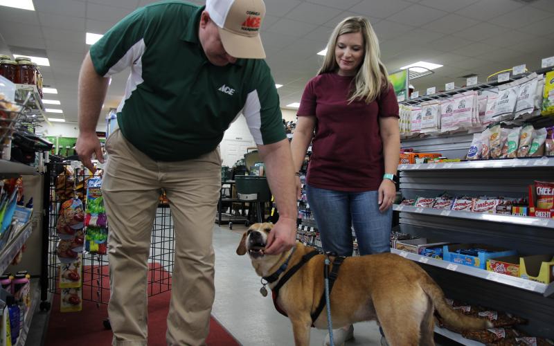 Eric Pereira/ Cornelia Ace Hardware owners Matt and Heather Colston get acquainted with Walker. Dog-friendly businesses are encouraged to offer treats and water to the four-legged visitors.