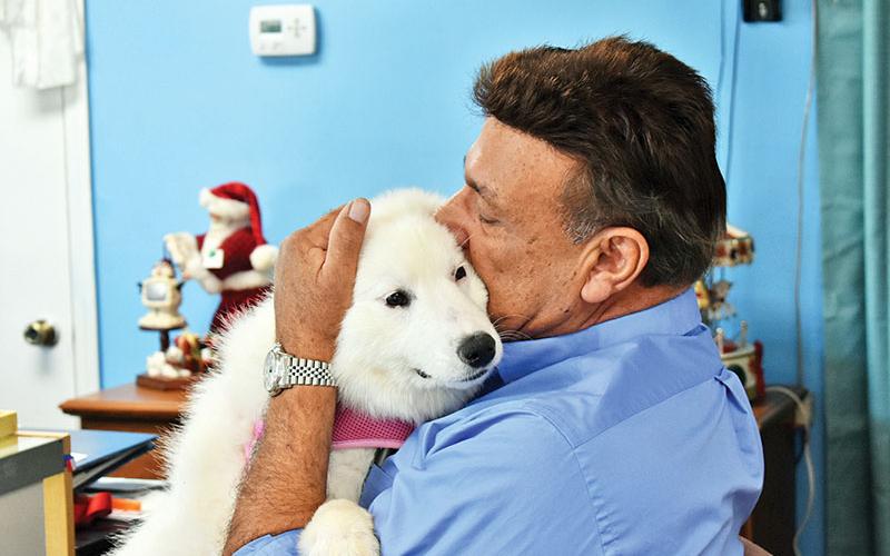 Tony Romano and his 1-year-old Samoyed have a bond like no other. Bella, the Samoyed, was rescued from the dog meat market in China. Tony Romano adopted her after his 8-year-old Samoyed named Sam passed away this Thanksgiving. 