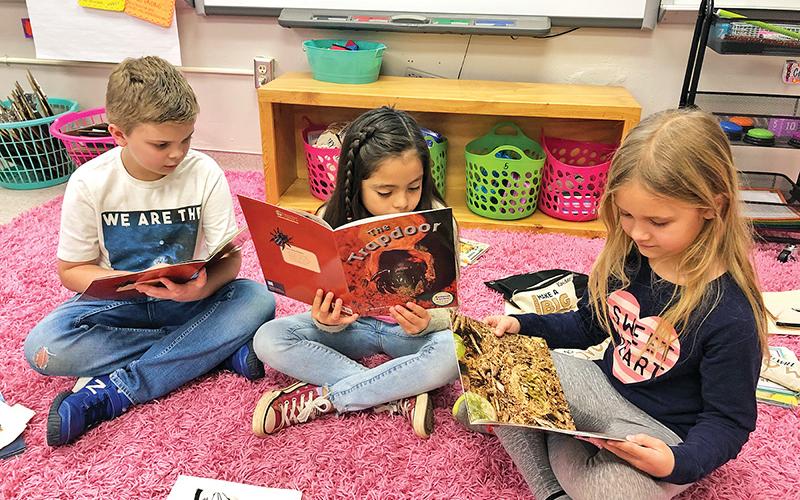 Woodville Elementary School second graders (from left) Jake Gabrels, Leah Elias-Lopez and Emma Gunn enjoy the books provided by the Fountas and Pinnell guided reading program to Habersham County schools.
