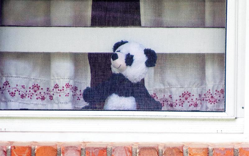 This stuffed panda can be seen in a window of a house on Short Avenue in the Tower Mountain neighborhood in Cornelia.