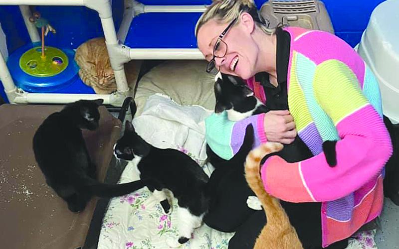 Madi Nix sits on the floor with a handful of cats up for adoption at the Habersham County Animal Shelter in Clarkesville, giving them some much needed love. Photo courtesy of Habersham County Animal Shelter