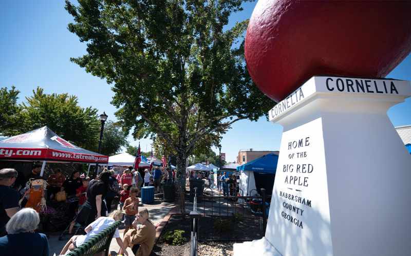 Families sit and enjoy fresh boiled peanuts in front of the Big Red Apple during the festival Saturday, The event had perfect weather and was one of the largest Big Red Apple festivals ever. ZACH TAYLOR/Special