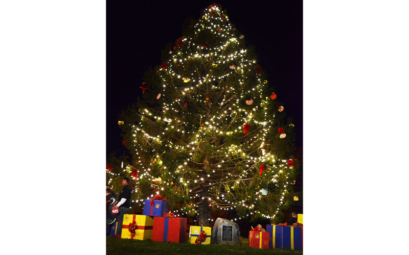 Habersham’s beautiful town Christmas trees include Baldwin’s, Clarkesville’s (pictured) and Demorest’s. SAMANTHA SINCLAIR/CNI News Service