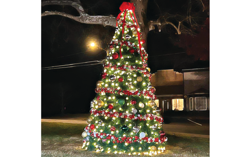Habersham’s beautiful town Christmas trees include Baldwin’s, Clarkesville’s and Demorest’s (pictured).SAMANTHA SINCLAIR/CNI News Service